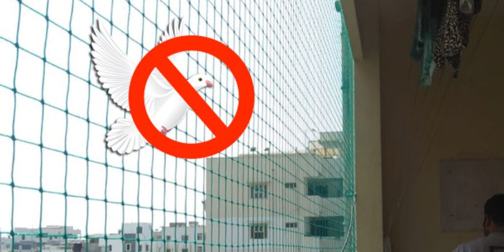 Pigeon Safety Nets in Bangalore | Call 9606699990 for Quote