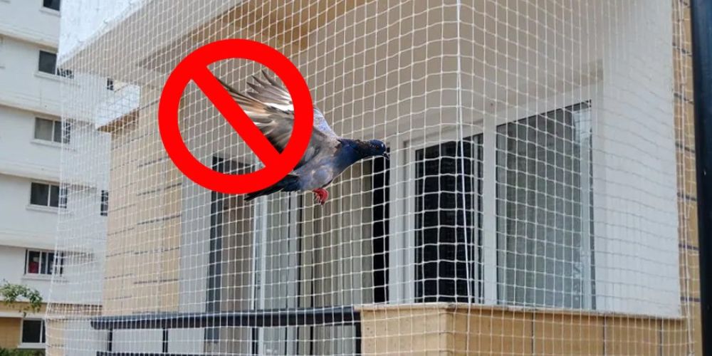 Pigeon Nets in Bangalore | Call 9606699990 for Nets Fixing Near